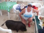 074 Pet pig in Cozumel